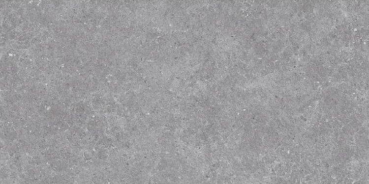 SE9545M35 Lasko Gray Semi Polish Rect 60х120 Novin Ceram Yazd Tile Co