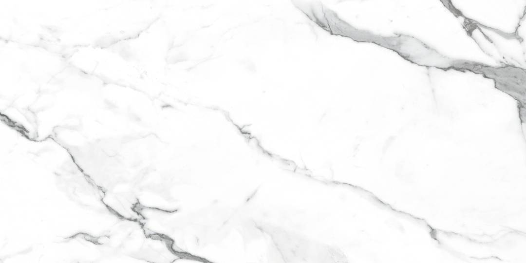 NR235 Dalim White Матовый 60x120 PrimaVera