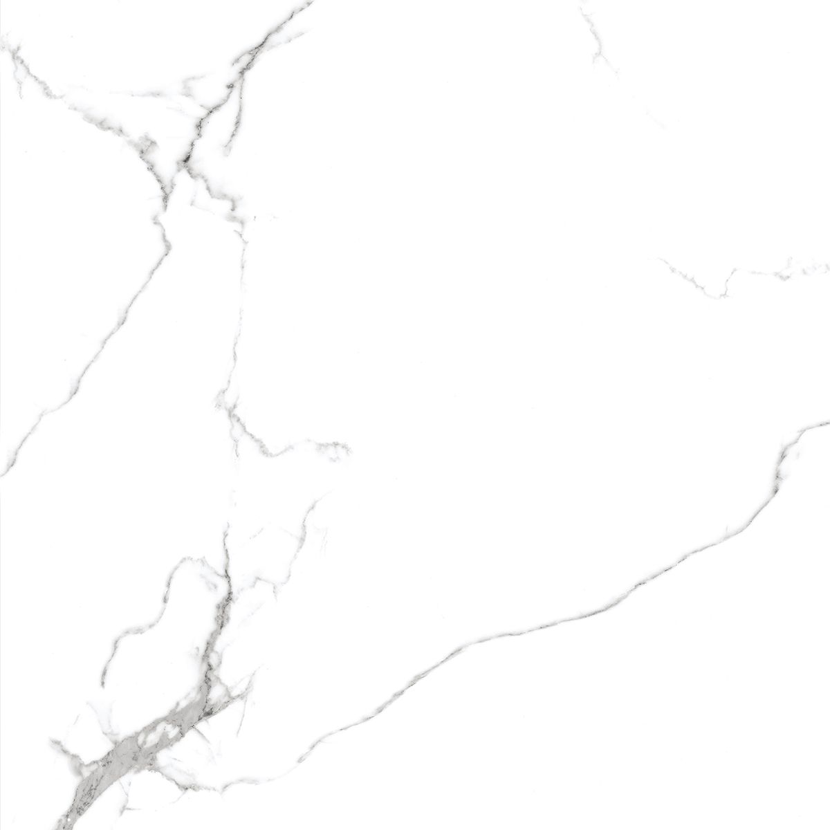 R_PR1001 Calacatta Venatino Polished 60x60 Royce