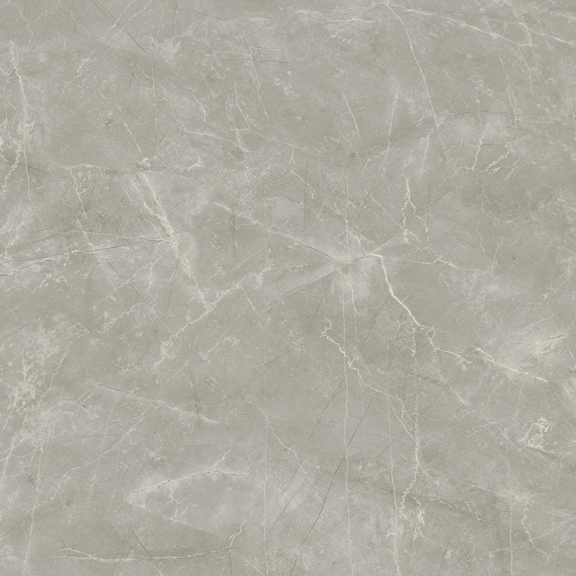 Wolf Grey 80х80 Laparet