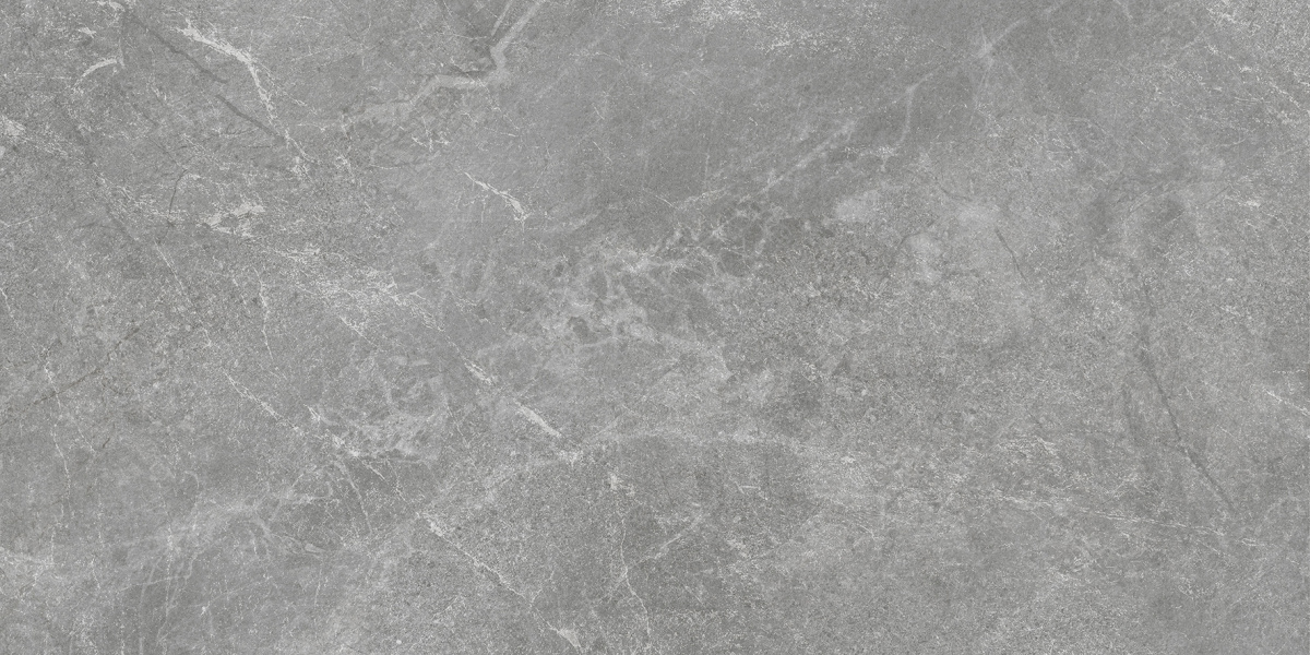 Rocky Grey PRO серый матовый R10GR STR CB 60х120 Laparet