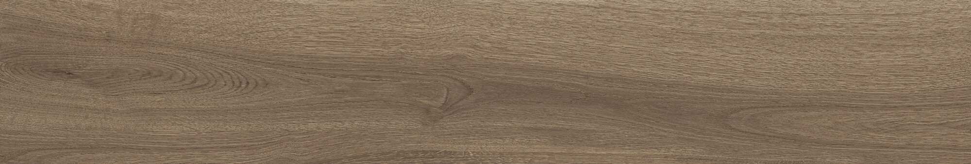 41729 Bloom Cognac SP/24x151x0,9/R 24x151 Peronda