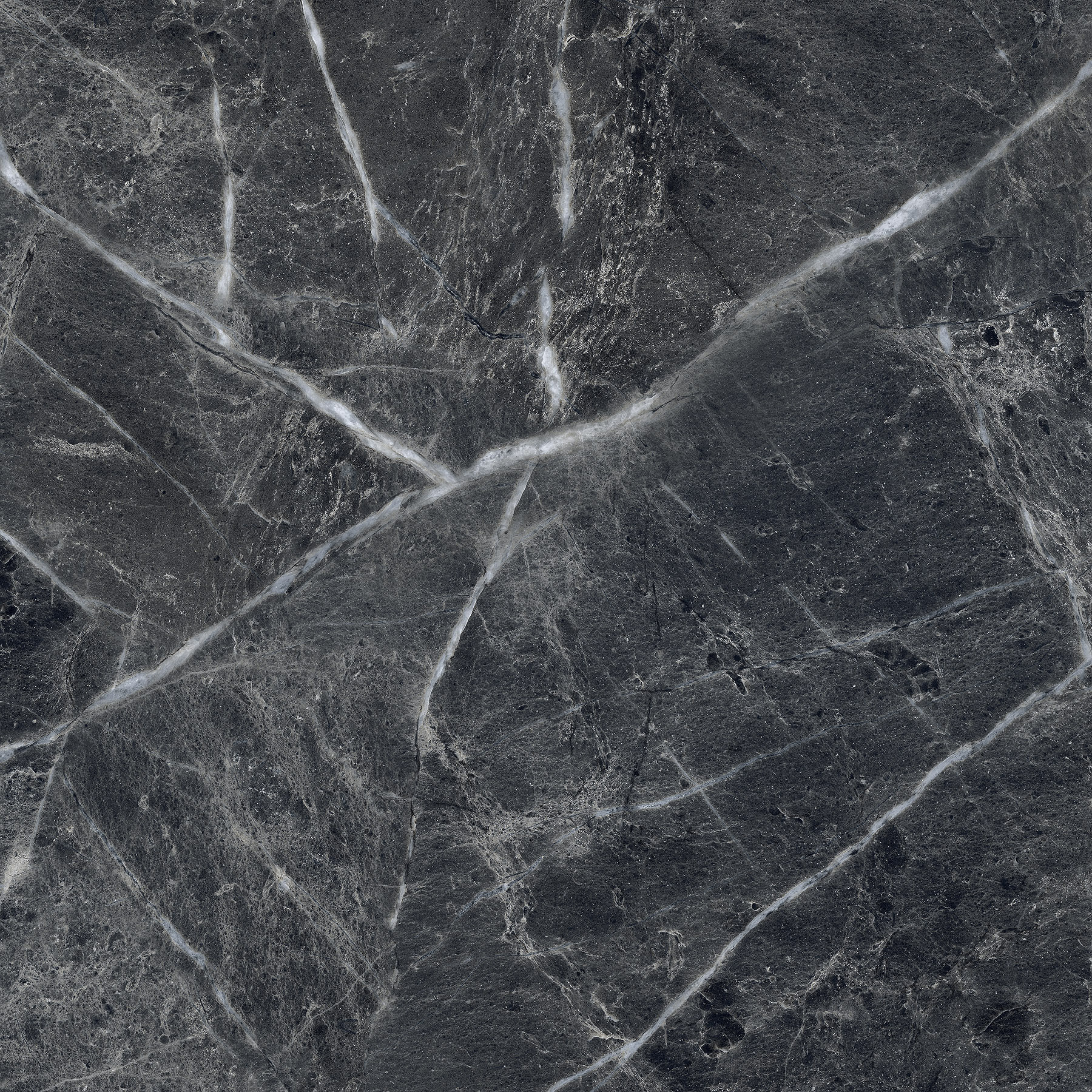 CR6004-A Cassero Nero Carving 60x60 Arcadia Ceramica фото 6