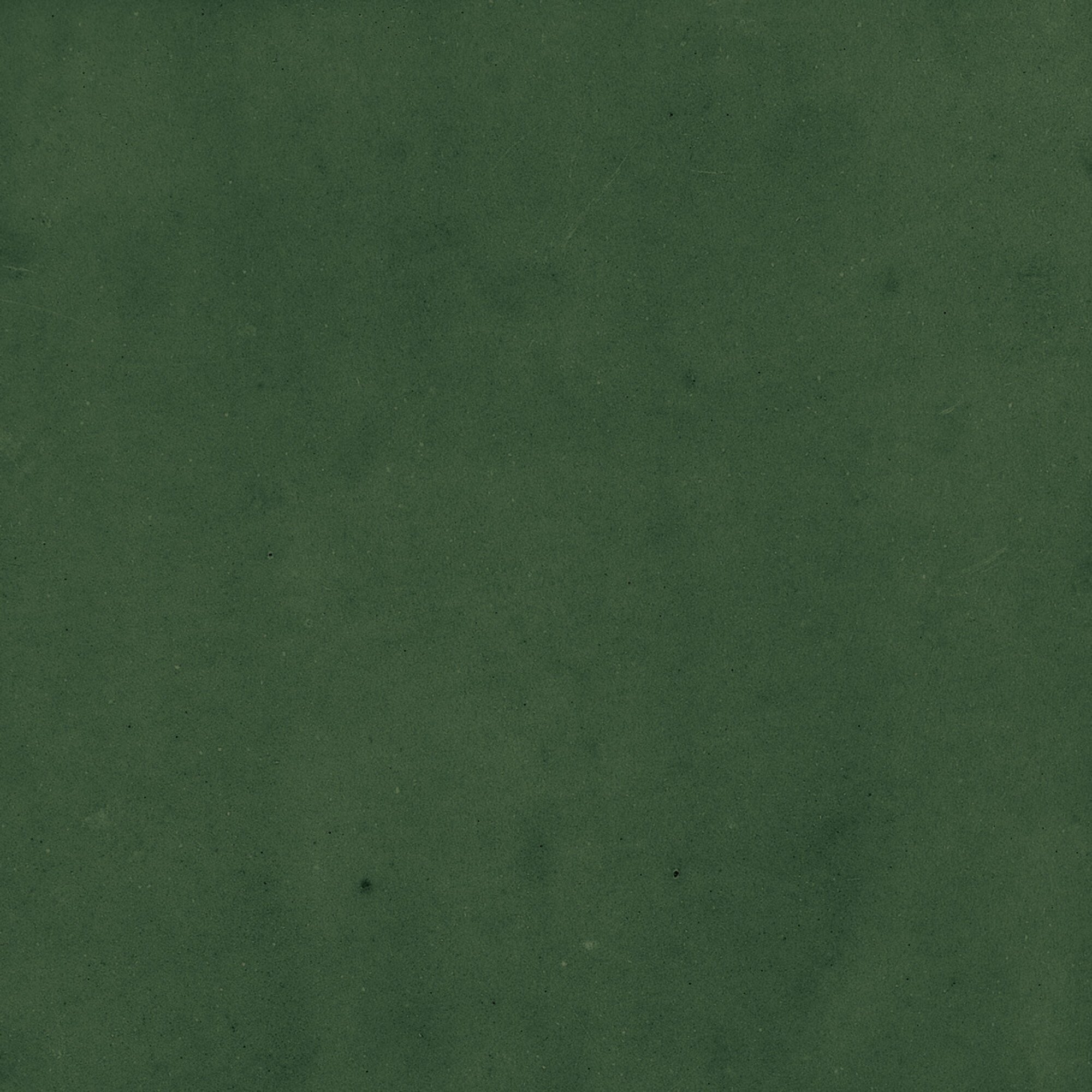 43289 Samira Green 10x10 Harmony фото 15