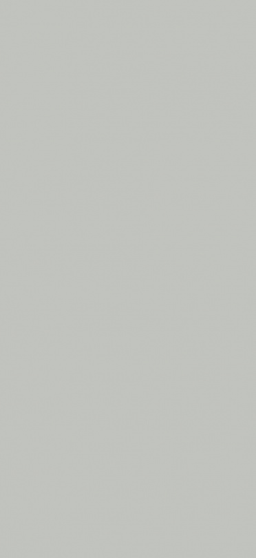 Silver Natural 120x260 Baldocer