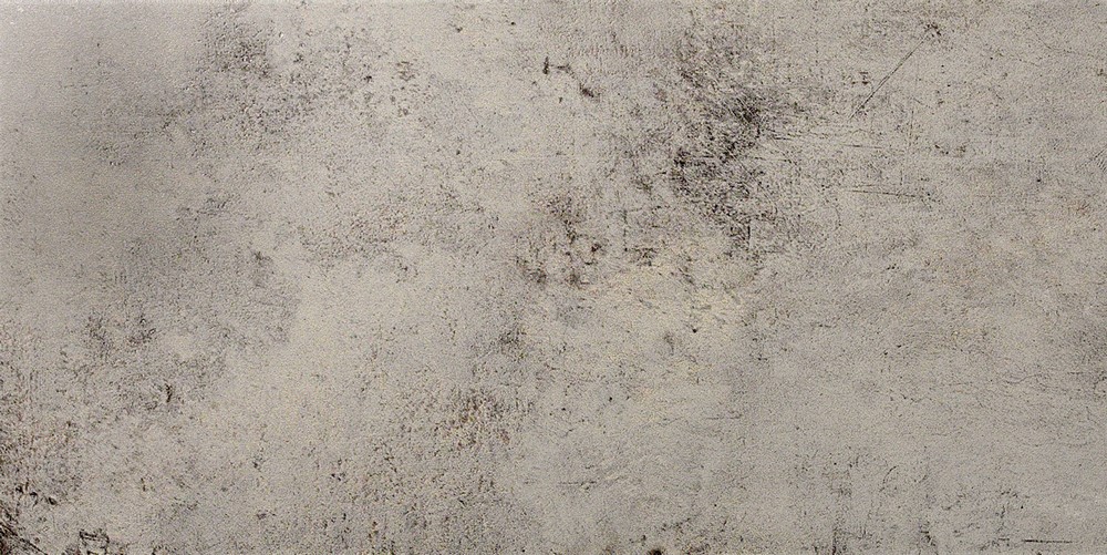 Evolution Gris 49.1x98.2 Ceracasa