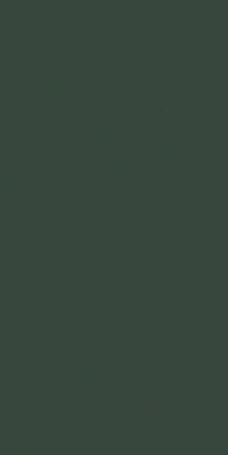767268 Crayons Moss Nat Ret 6mm 60x120 Cerim