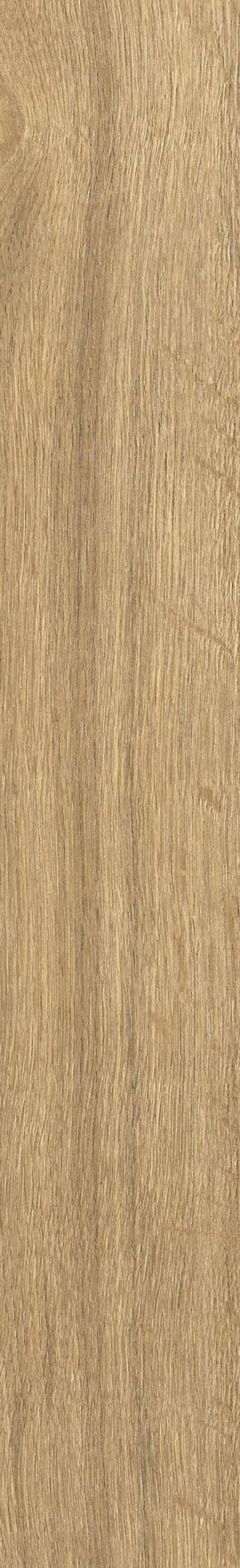 SGR29 Aurevia Gold 9.2x60 Stargres фото 12