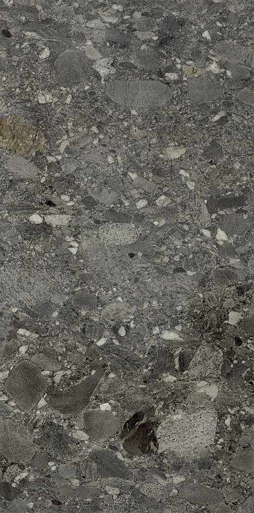 Ceppo Nero Rett 60х120 Cercom фото 4