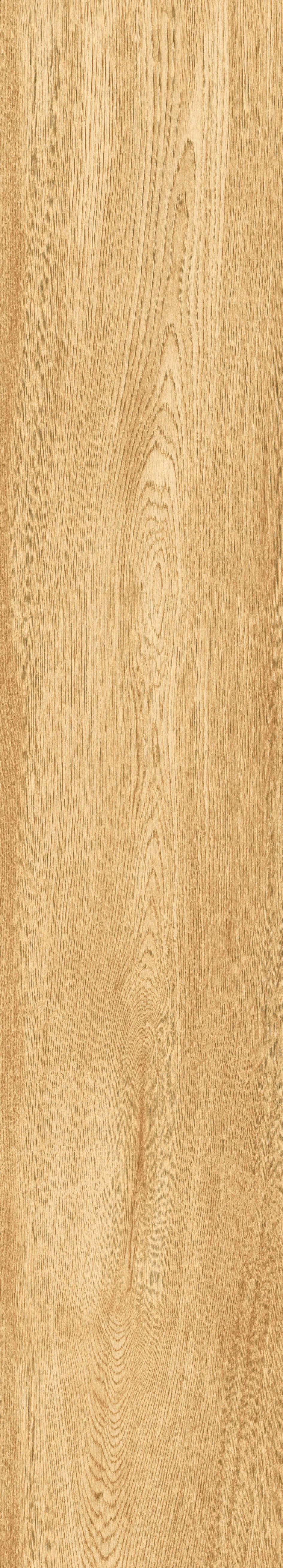 1064 Parma Honey Mate 120x20 Artcer