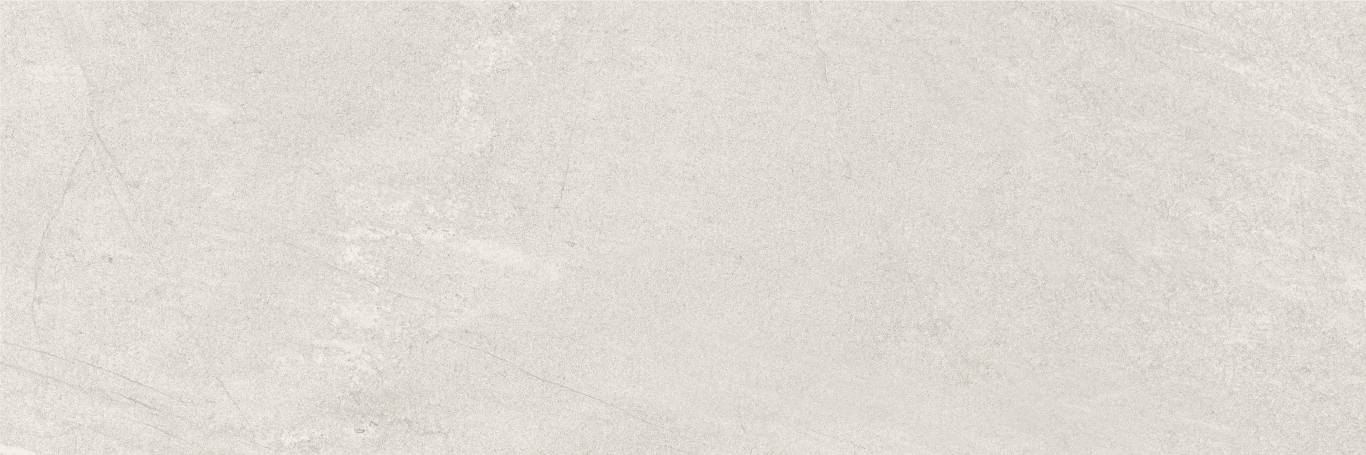 Nature Ash Rеct 40x120 Baldocer