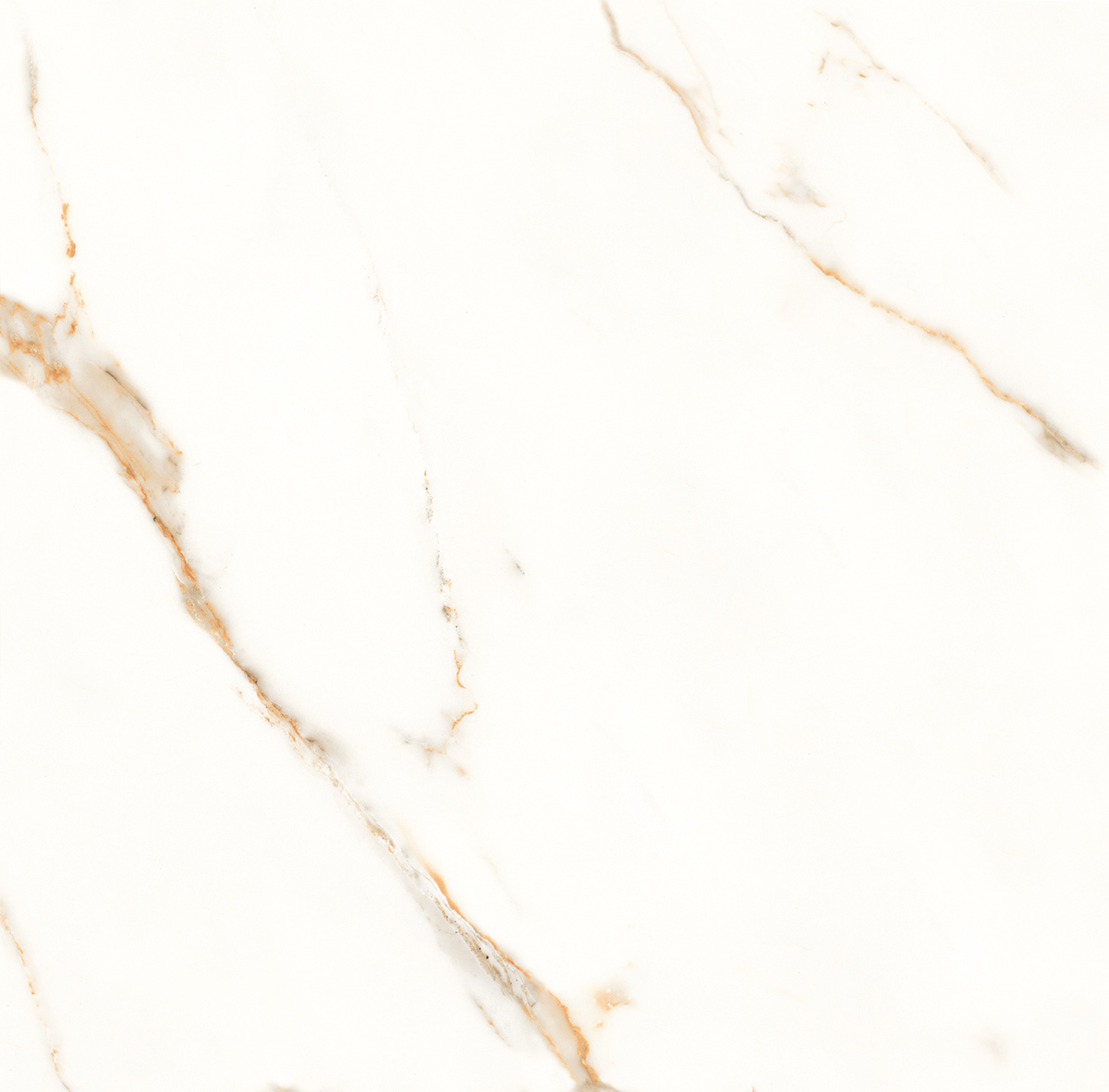 Venato Calacatta Gold белый сатинированный 60х60 Laparet