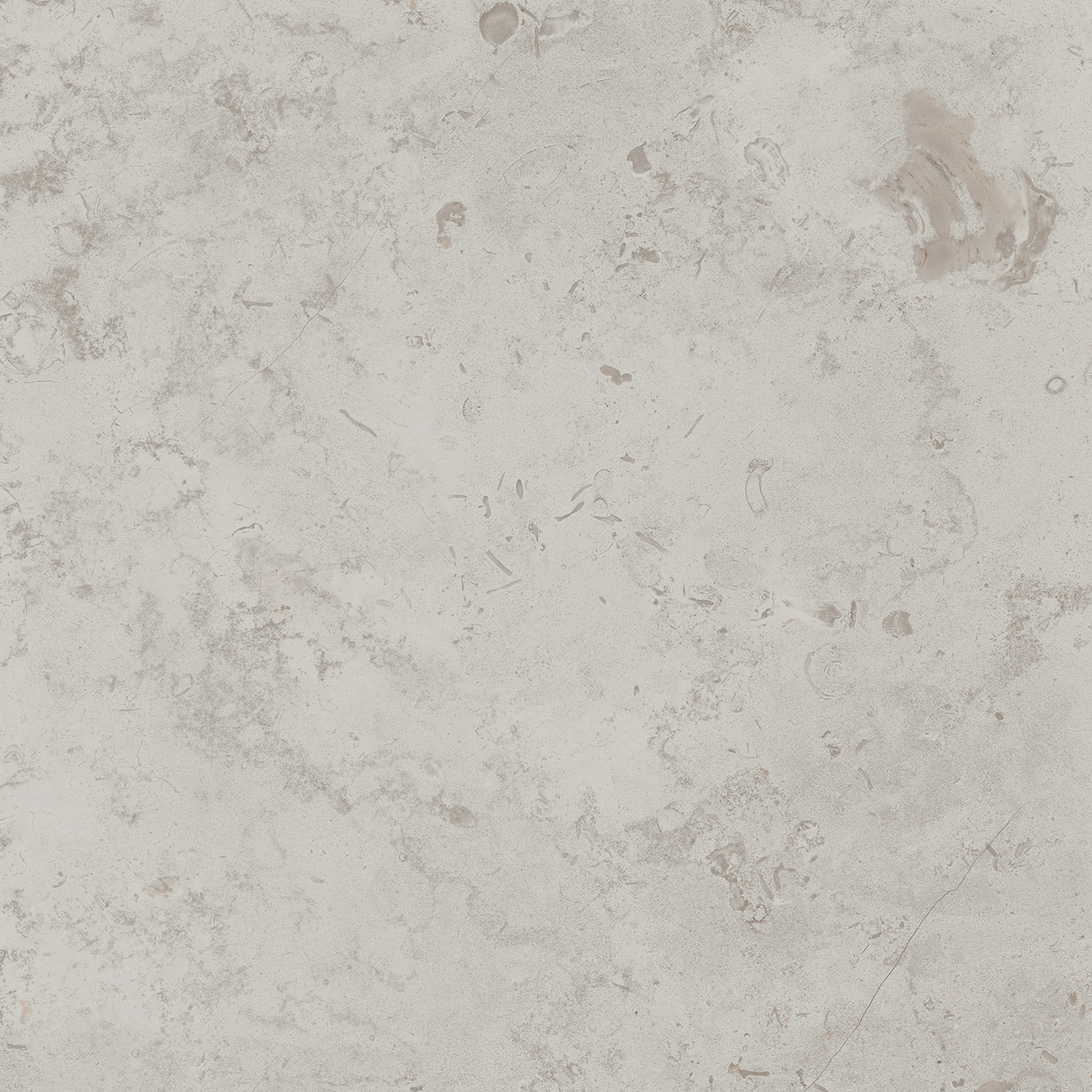 DD641020R Про Лаймстоун серый светлый натуральный обрезной 60х60 Kerama Marazzi