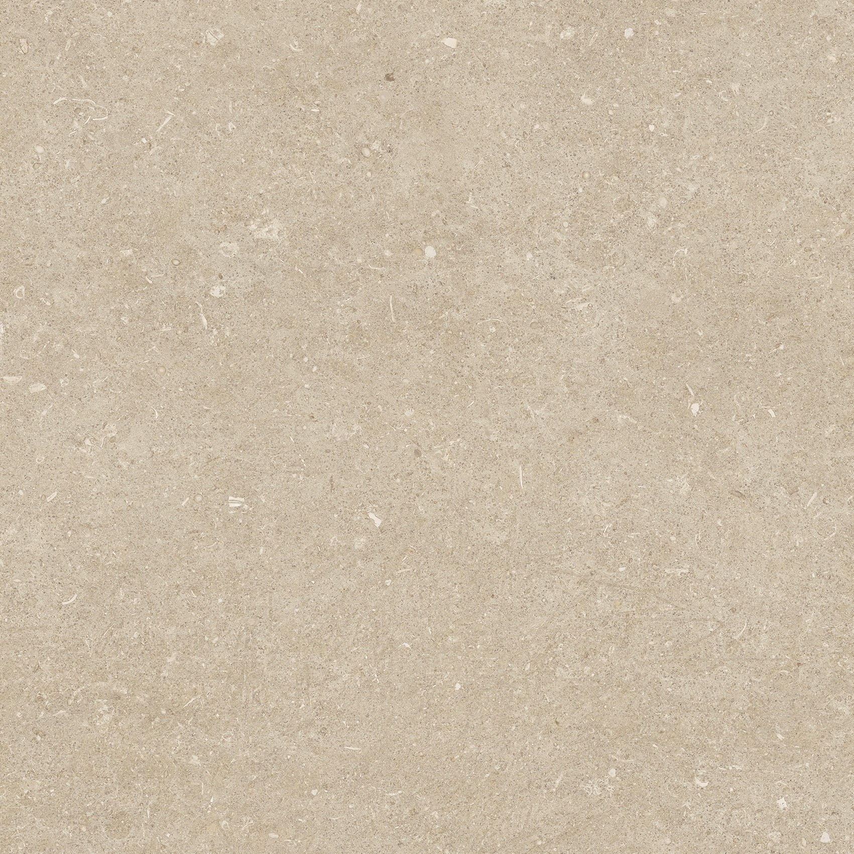 785485 Rinascenza Arena Conchiglia Matte 60x60 Casa Dolce Casa фото 8