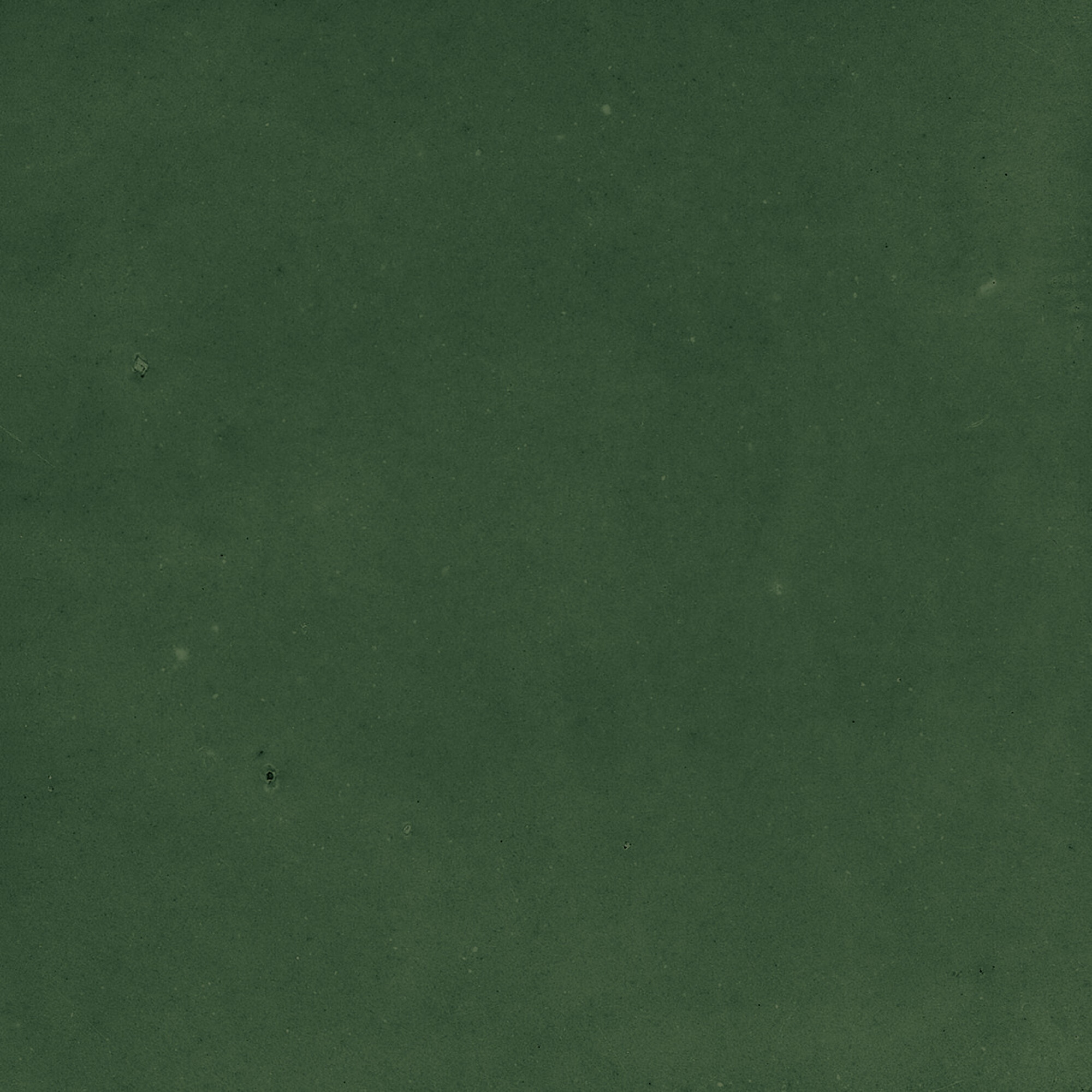 43289 Samira Green 10x10 Harmony фото 4