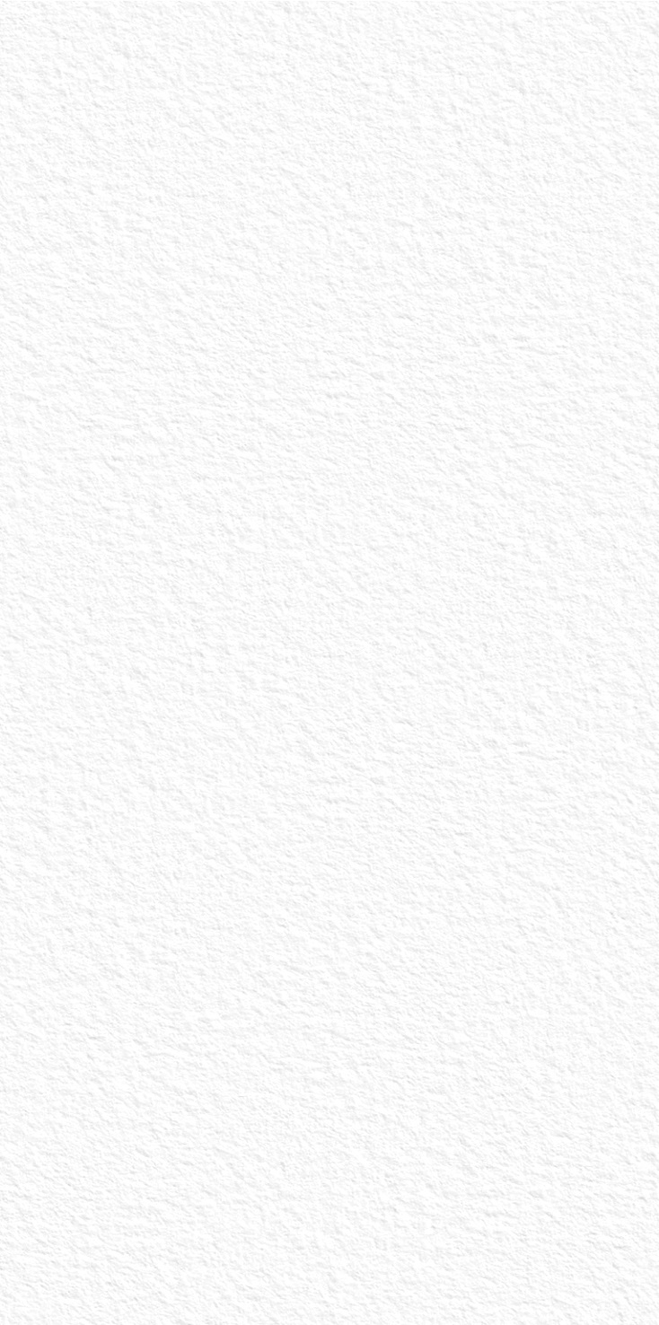 White Texture 1600х3200х12 StaroSlabs