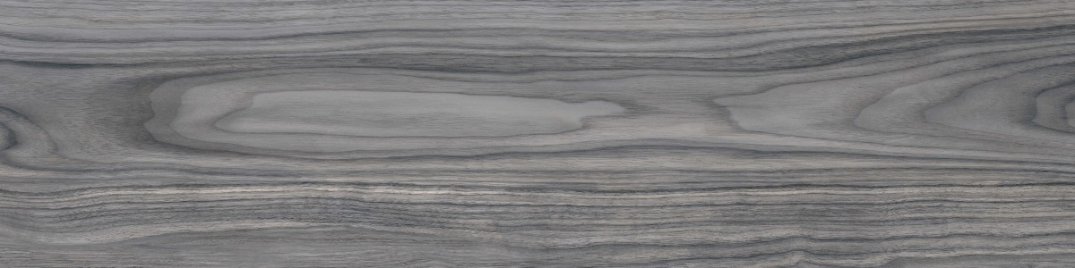 WD12 Forest Grey 20x80 PrimaVera