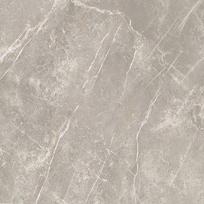 766956 Elemental Grey Dolomia Luc Ret 60x60 Cerim
