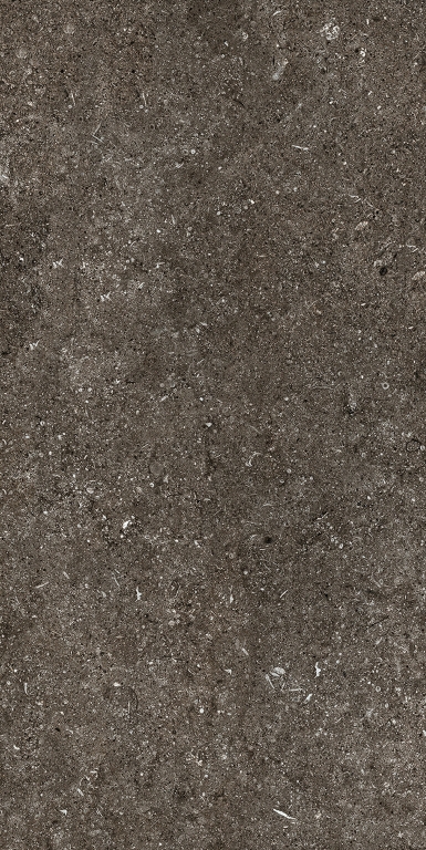 768625 Sensi Brown Fossil Nat Ret 6mm 60x120 Casa Dolce Casa