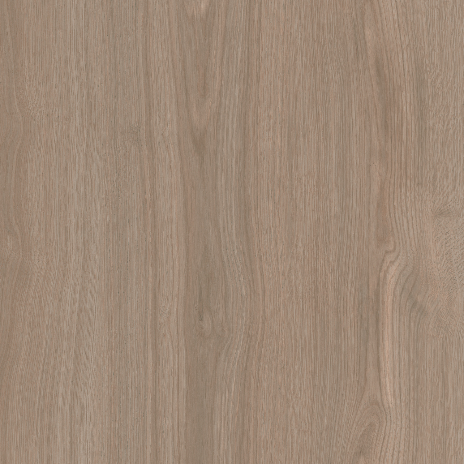 SG643820R Альберони коричневый светлый матовый обрезной 60x60x0,9 Kerama Marazzi