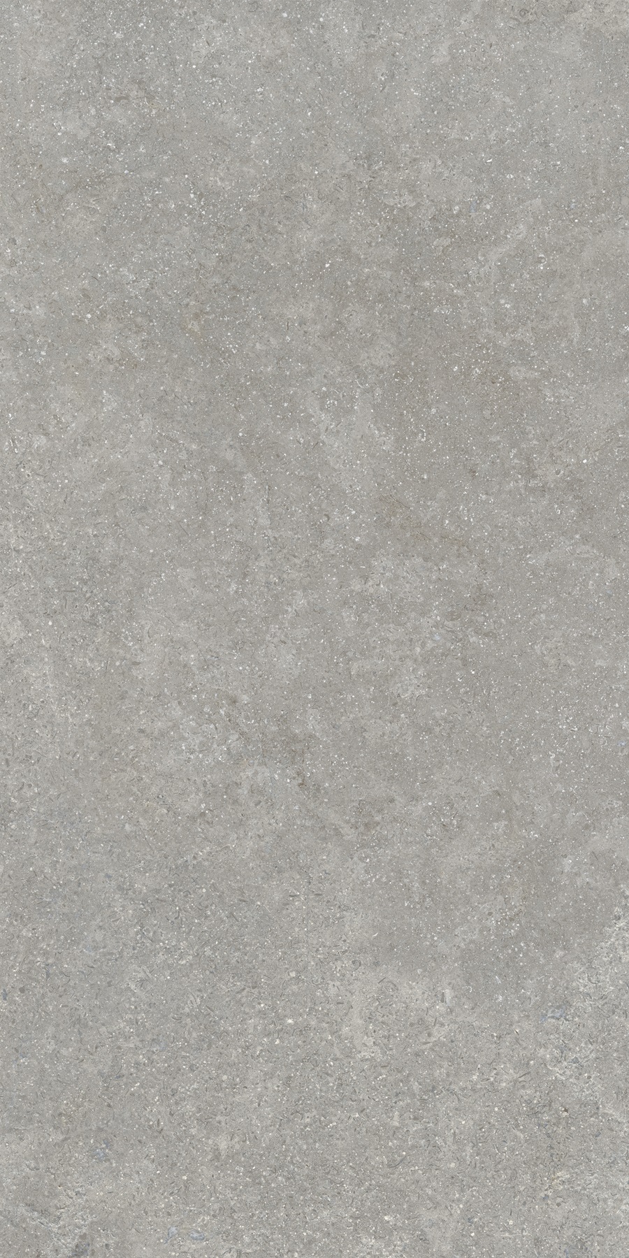 K948634R0001VTER SandStone Серый Матовый R10A Ректификат 60х120 Vitra