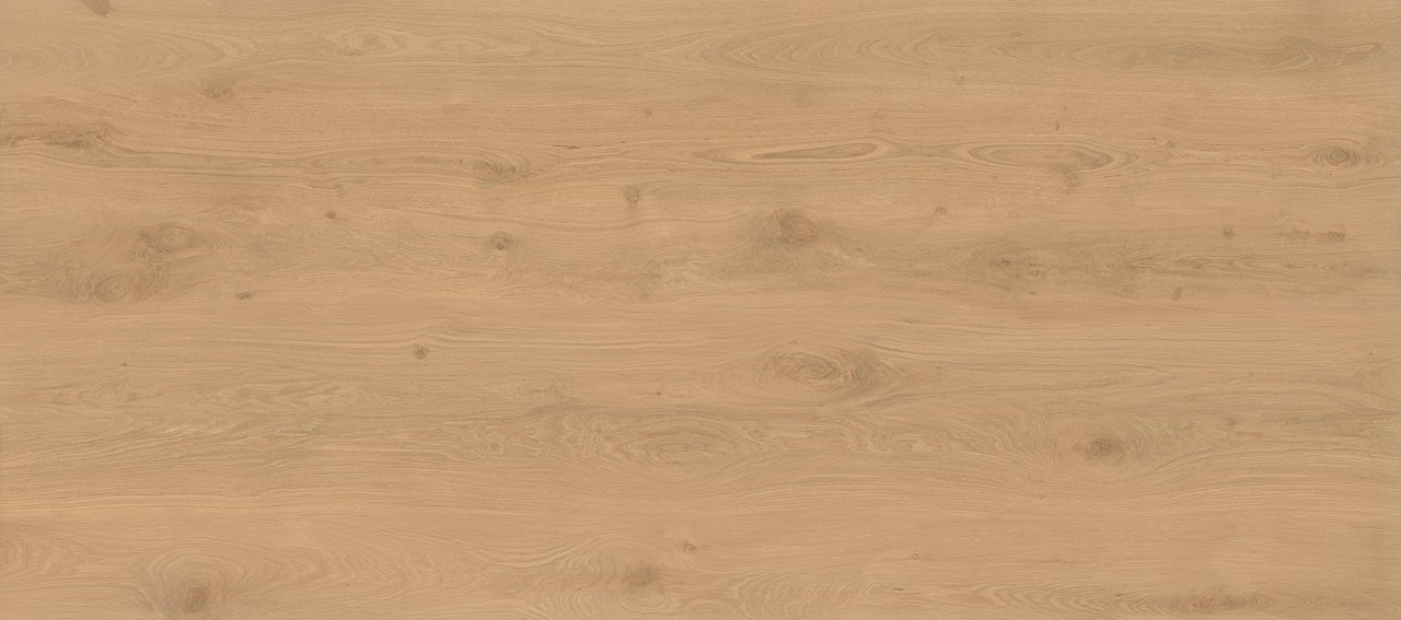 AX26 Log Icon Oak Matt 6mm 120x278 Atlas Concorde