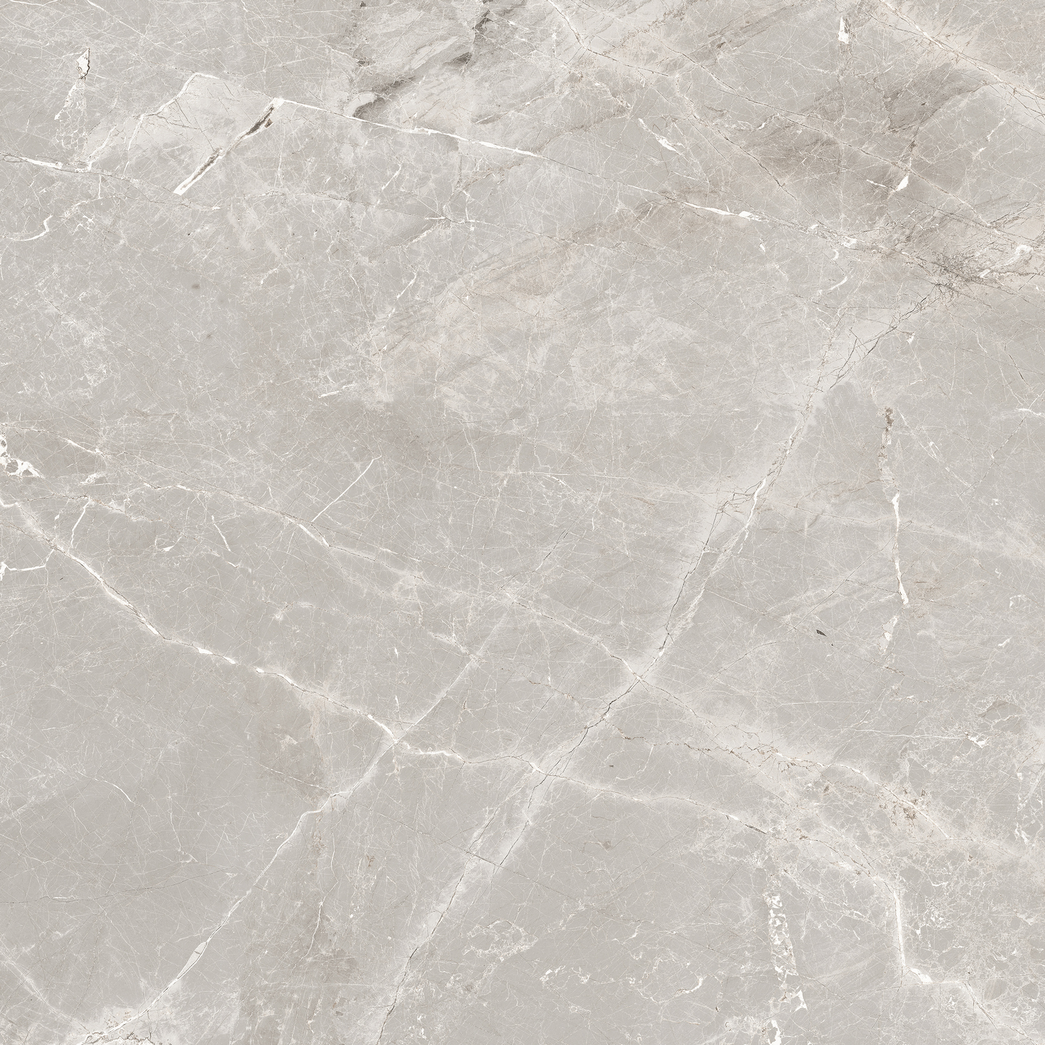 GT606012101SPR Tulip Серый Soft Sugar 60x60 Global Tile