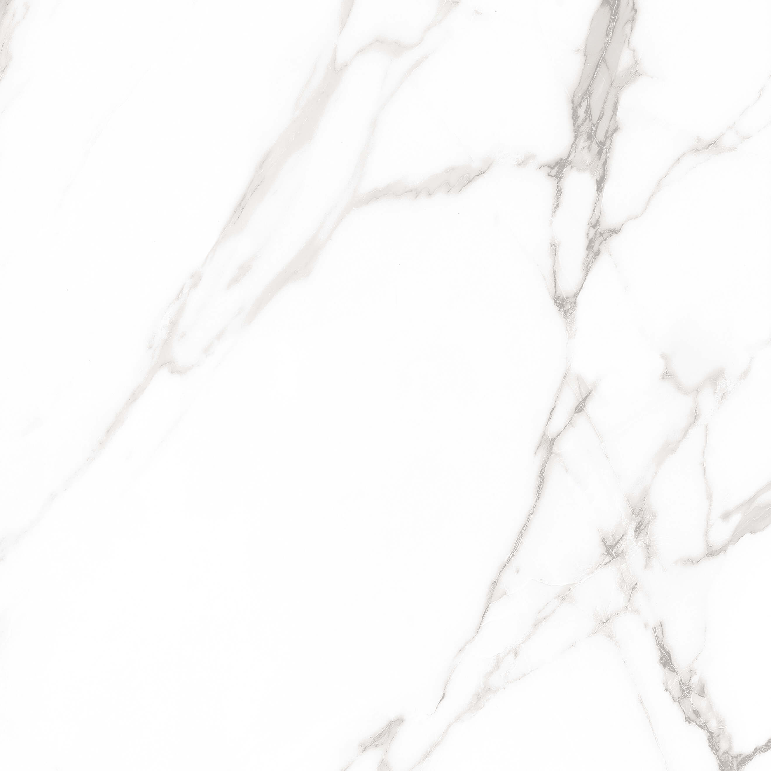 Marble Royal White Sugar 60x60 Artcer