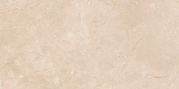 Enya BEIGE 30x60 Dualgres