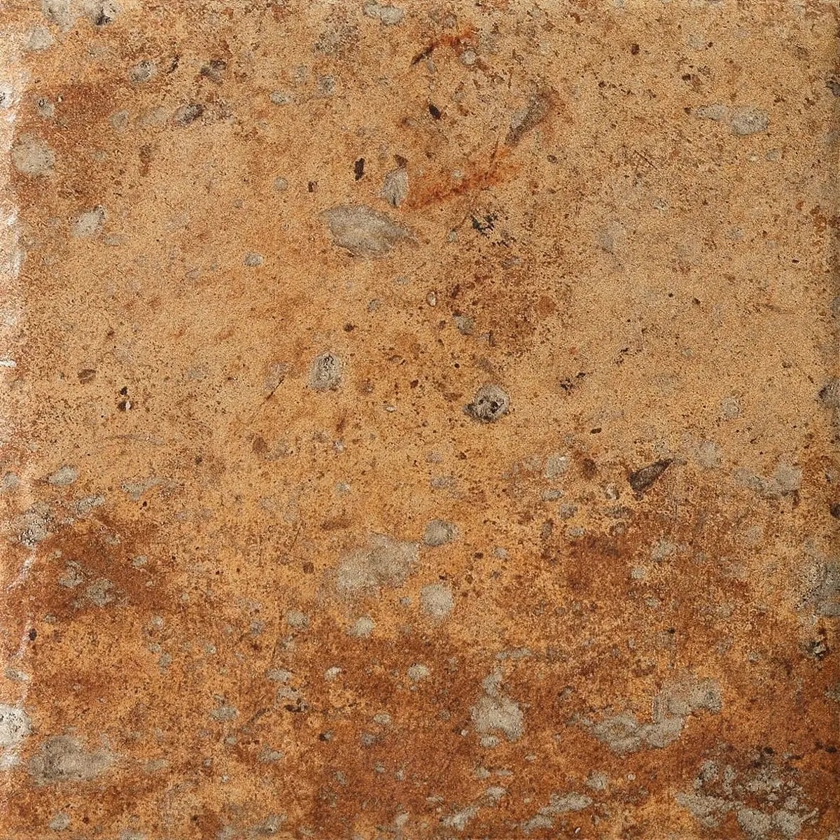 1080489 Cotto Del Campiano Cotto Dorato 40x40 CIR