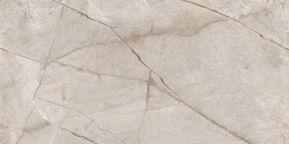 N80016 Silver Stone Carving 60x120 Neodom