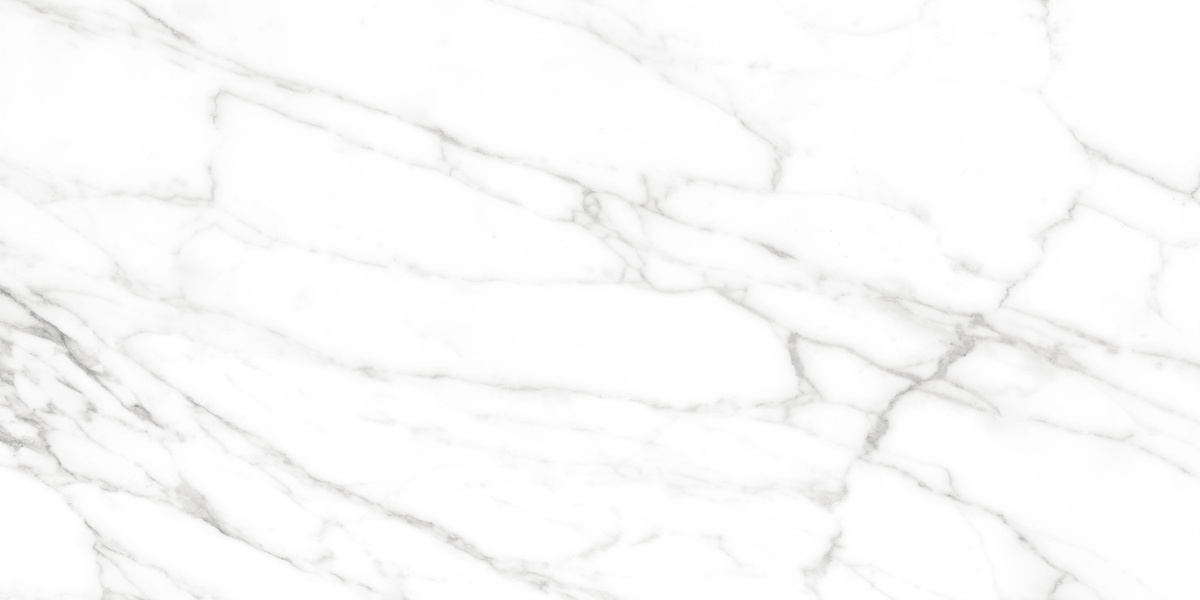Calacatta Bianco PRO белый матовый R10GR CB 60х120 Laparet