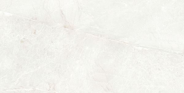 Persa Blanco 60x120 Geotiles