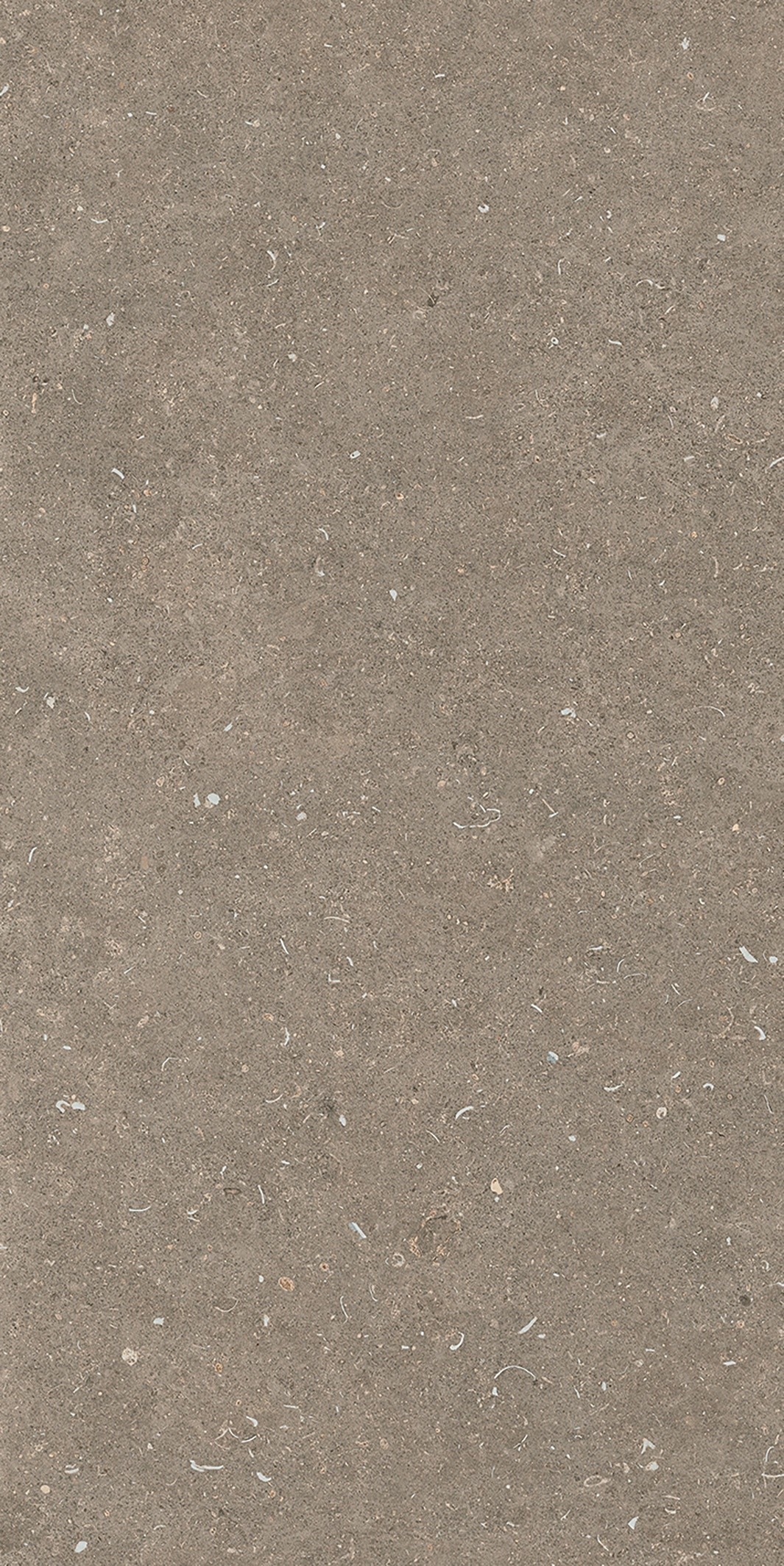 785576 Rinascenza Arena Pietra Matte 6mm 60x120 Casa Dolce Casa фото 5