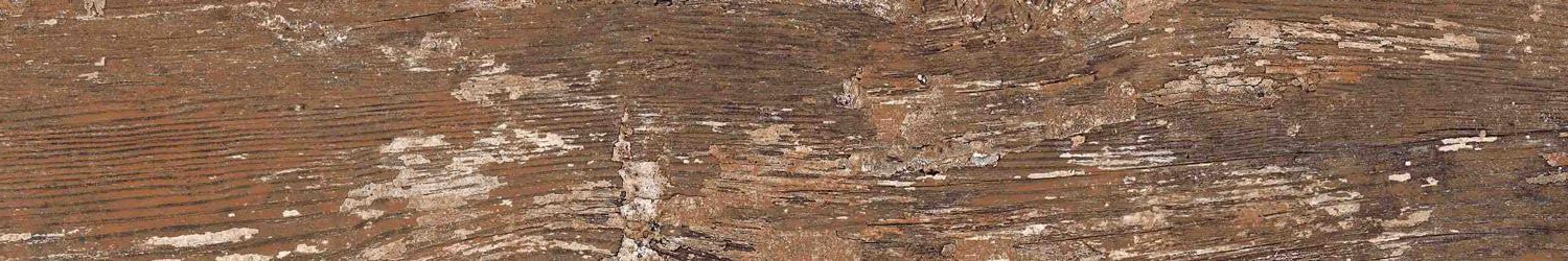 Kiwi Redroot Mat 20x120 Alpas Euro
