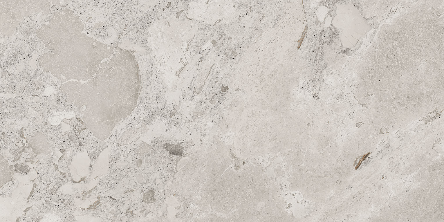 93453 Karnis Silver Matt 60x120 Cerdomus