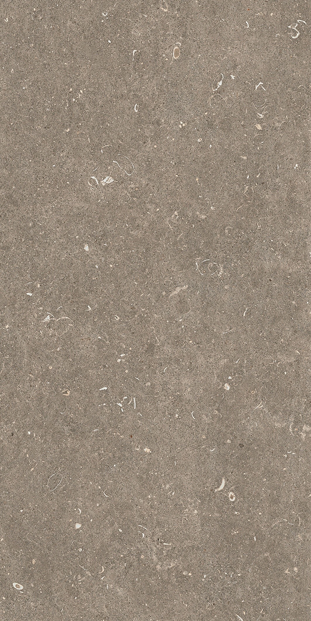 785576 Rinascenza Arena Pietra Matte 6mm 60x120 Casa Dolce Casa фото 10