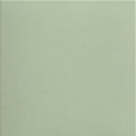Technical Basil 20x20 Mainzu
