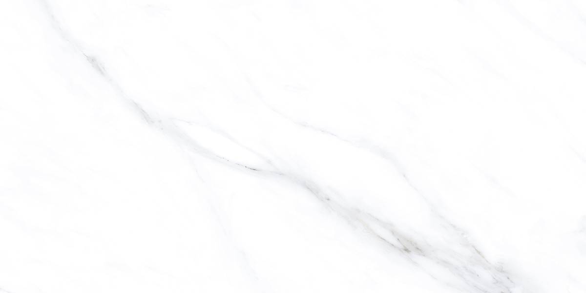 LC201 Palido Grey Lapato Carving 60x120 PrimaVera