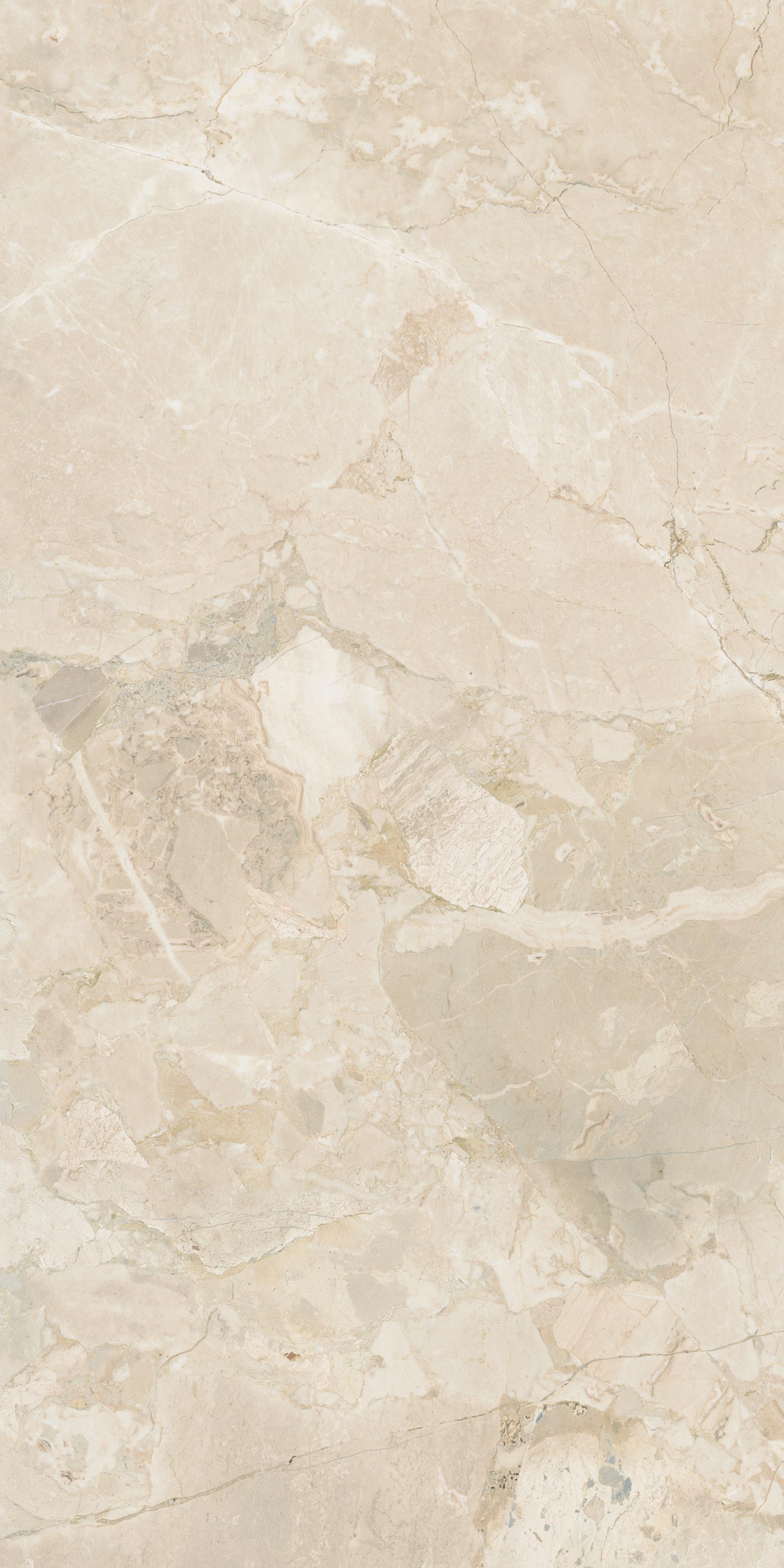 610010001537 Вивальди Уайт Рет 60x120 ColiseumGres фото 2