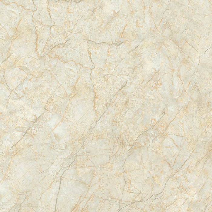 D6615 полированная 60x60 CSG