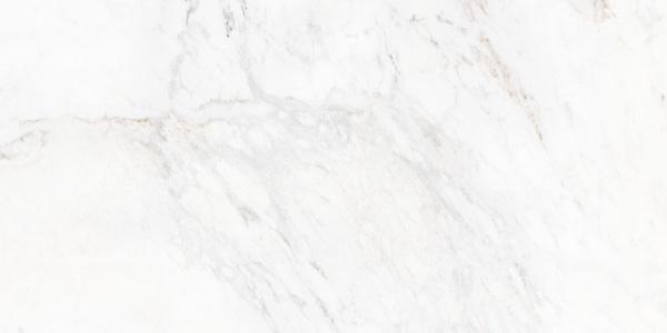 2578 Calacata Soft Vein Polished 60x120 Leopard