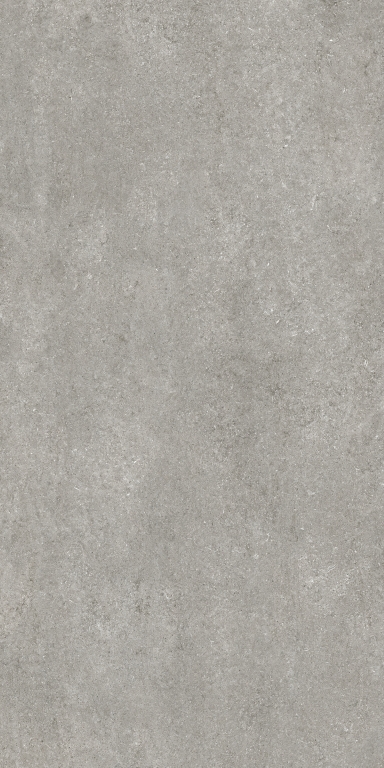 768581 Sensi Grey Fossil Nat Ret 6mm 120x240 Casa Dolce Casa