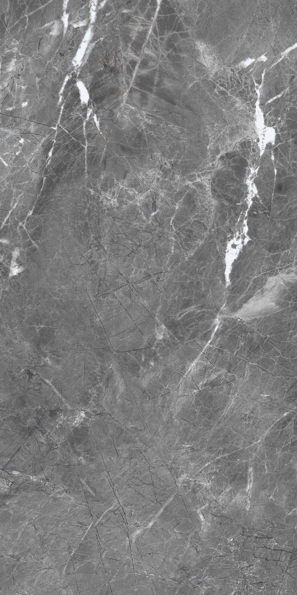 Shadow Dark Grey Polished 60x120 Realistik