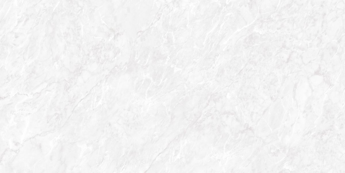 N20481 Carrara Pearl Polished 60x120 Neodom