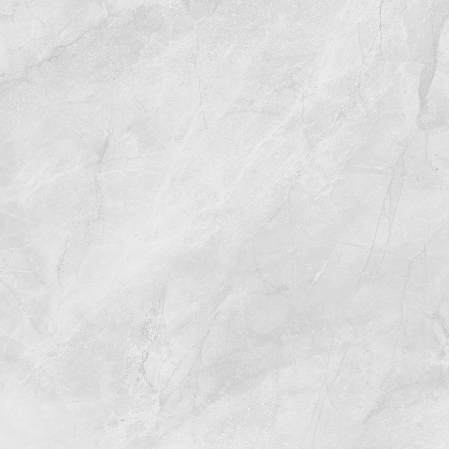 LP6060G0241R Berna Silver светло-серый матовый 59,5х59,5 Laparet