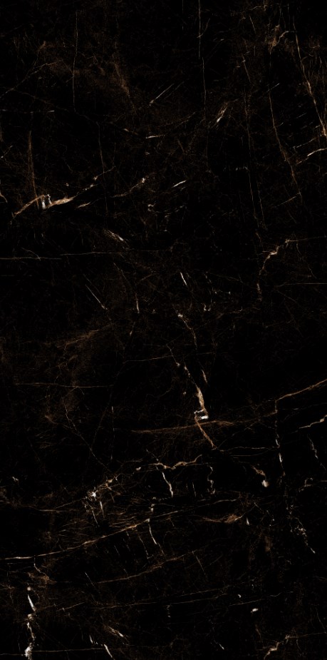 Marble Tropic Black 120x60 Artcer
