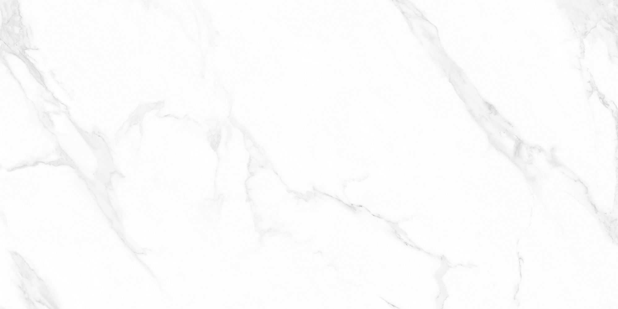 M4402P Carrara Anita Glossy 60x120 Buono Ceramica фото 4