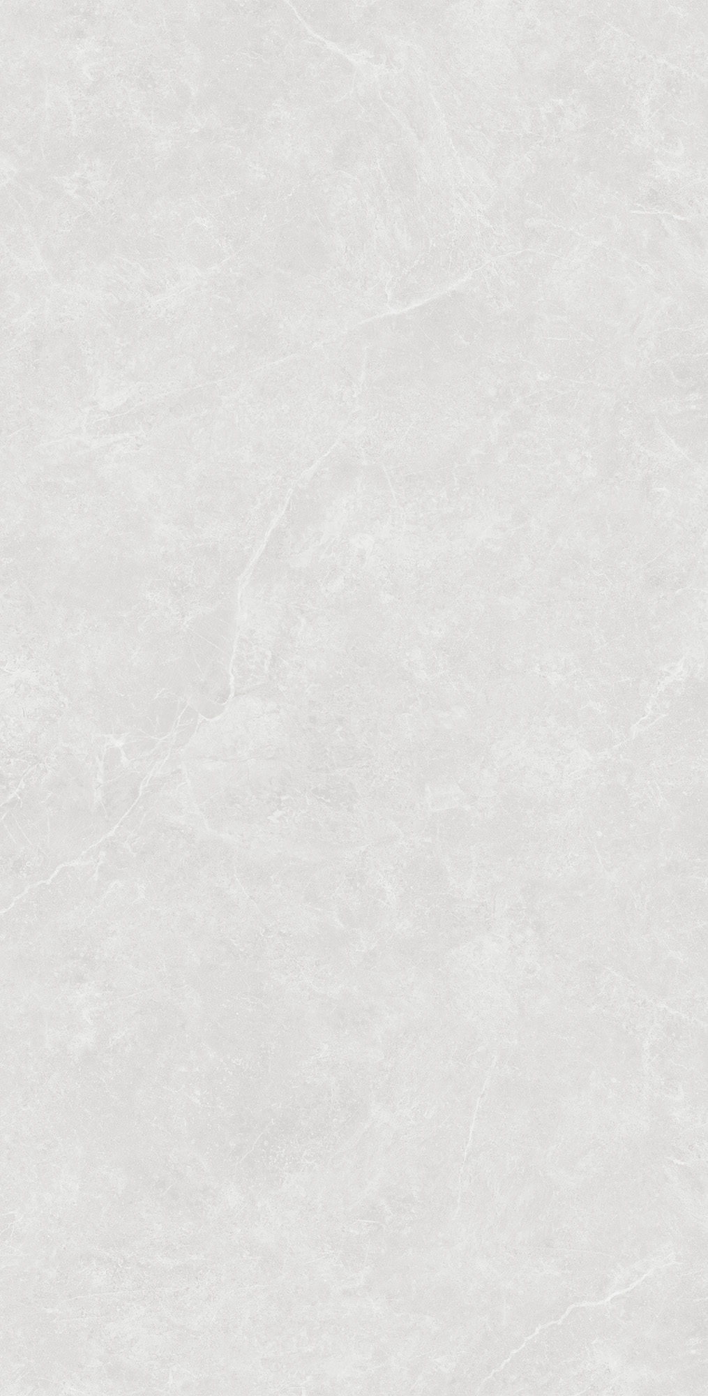 SL1003-A Oviedo Silver Solido 60x120 Creanza