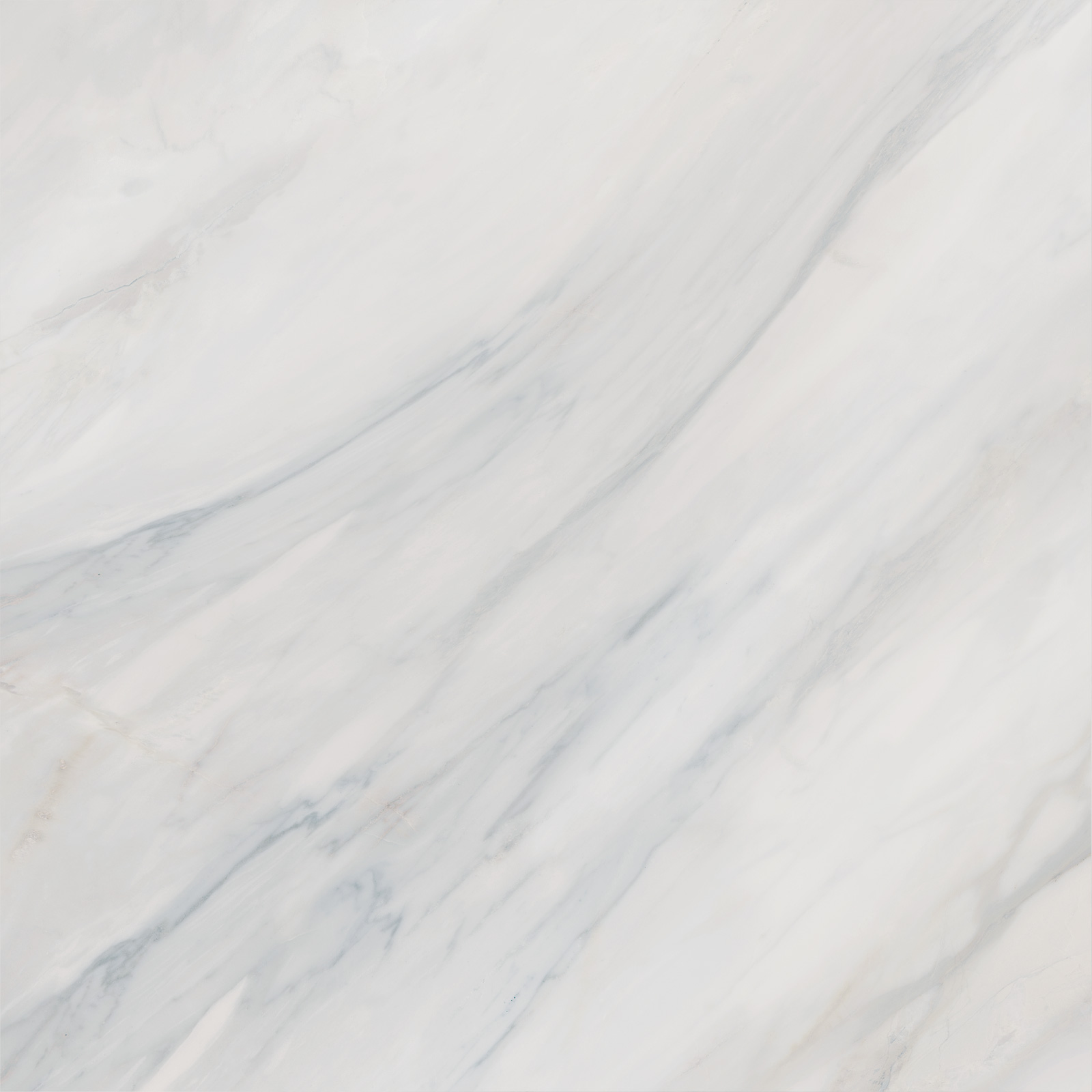 6060CAA03 Carolina Pearl Sugar 600x600x9.5 Delacora